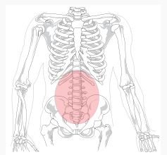 Lower Back Pain