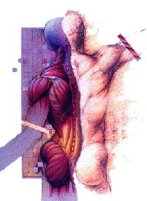 Fibromyalgia Rehabilitation